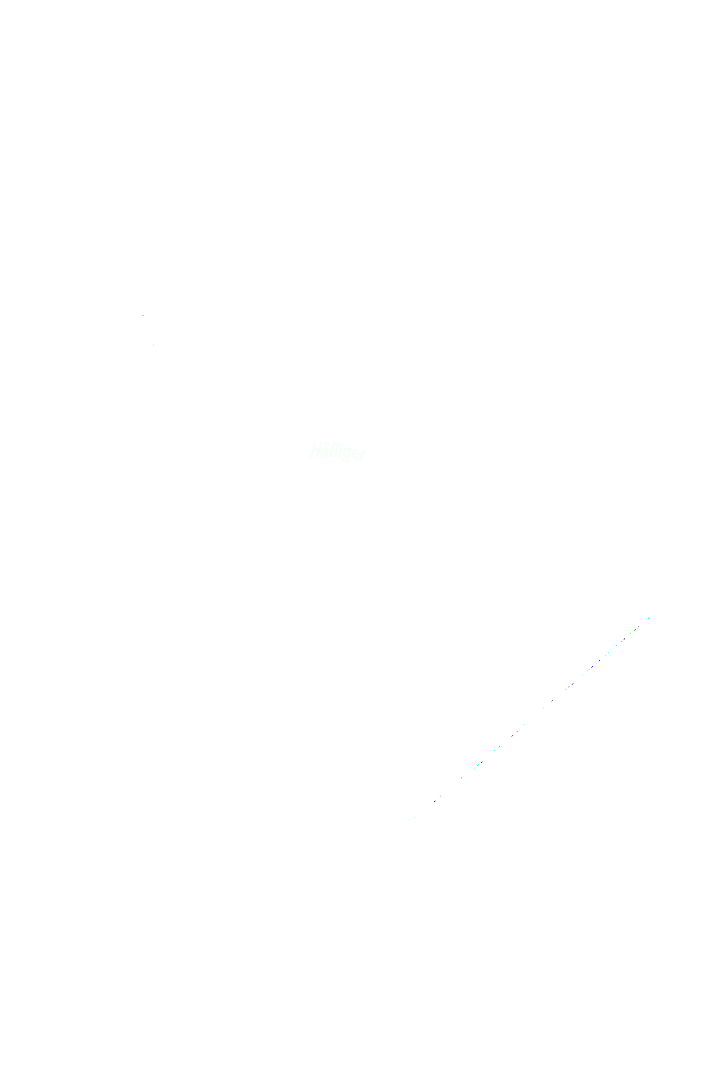 Gartenbau  Unterhalt Häfliger